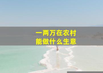 一两万在农村能做什么生意