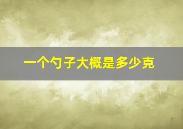 一个勺子大概是多少克