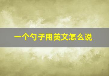 一个勺子用英文怎么说