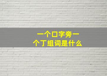 一个口字旁一个丁组词是什么