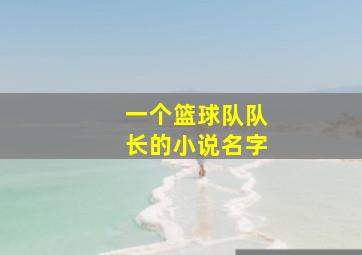 一个篮球队队长的小说名字