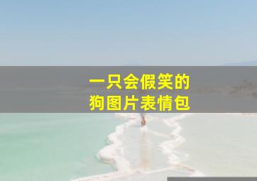 一只会假笑的狗图片表情包