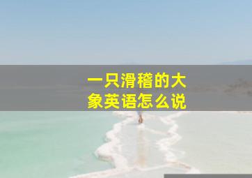 一只滑稽的大象英语怎么说