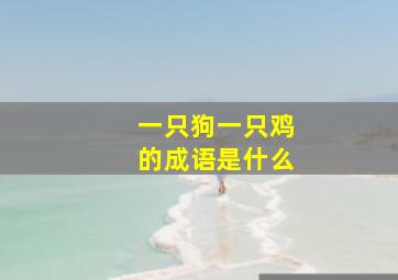 一只狗一只鸡的成语是什么