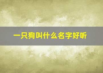 一只狗叫什么名字好听