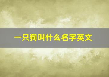 一只狗叫什么名字英文