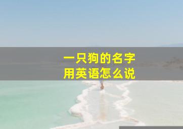 一只狗的名字用英语怎么说