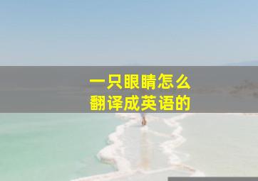 一只眼睛怎么翻译成英语的