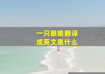 一只眼睛翻译成英文是什么