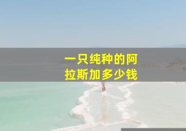 一只纯种的阿拉斯加多少钱