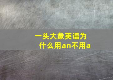 一头大象英语为什么用an不用a