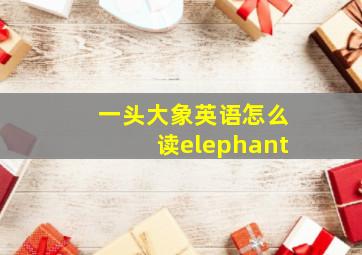 一头大象英语怎么读elephant