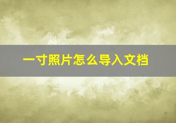 一寸照片怎么导入文档