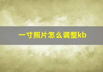 一寸照片怎么调整kb