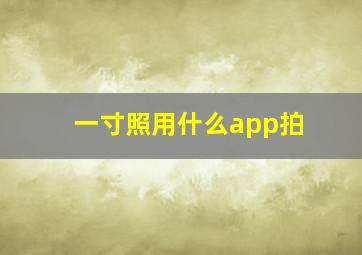 一寸照用什么app拍