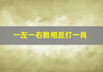 一左一右数相反打一肖