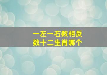 一左一右数相反数十二生肖哪个