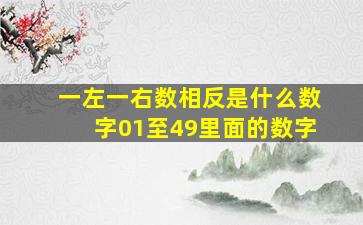 一左一右数相反是什么数字01至49里面的数字