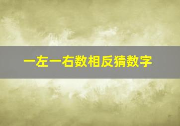 一左一右数相反猜数字