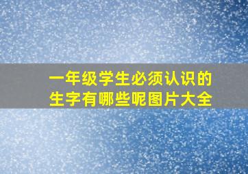 一年级学生必须认识的生字有哪些呢图片大全