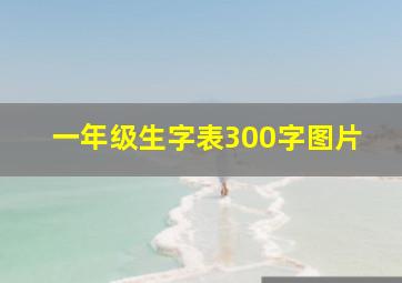 一年级生字表300字图片