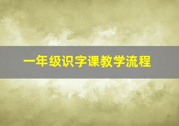 一年级识字课教学流程