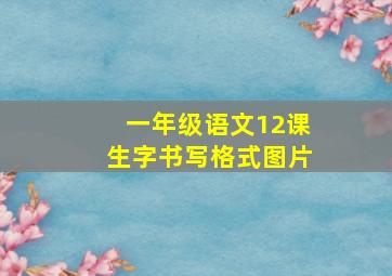 一年级语文12课生字书写格式图片