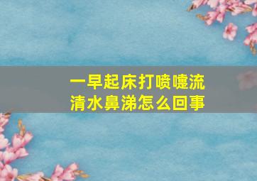 一早起床打喷嚏流清水鼻涕怎么回事