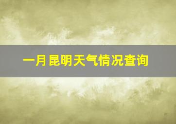 一月昆明天气情况查询