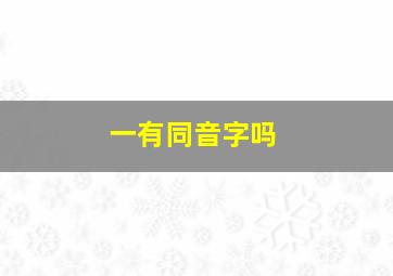 一有同音字吗