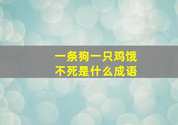 一条狗一只鸡饿不死是什么成语