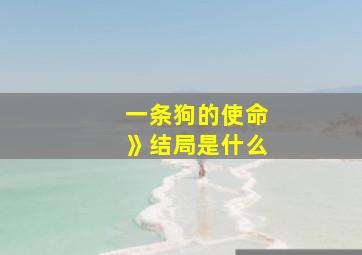 一条狗的使命》结局是什么