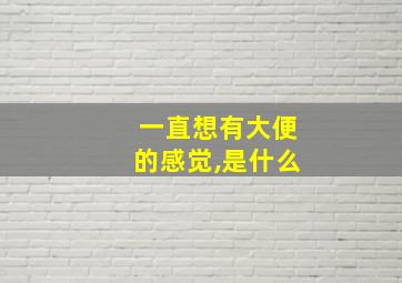 一直想有大便的感觉,是什么