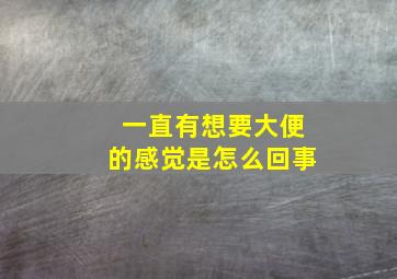 一直有想要大便的感觉是怎么回事