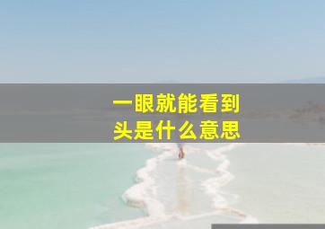 一眼就能看到头是什么意思