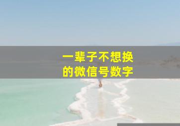 一辈子不想换的微信号数字