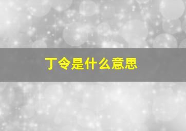 丁令是什么意思