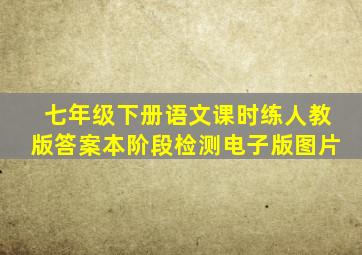 七年级下册语文课时练人教版答案本阶段检测电子版图片