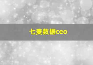 七麦数据ceo