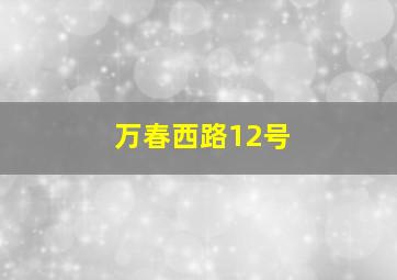 万春西路12号