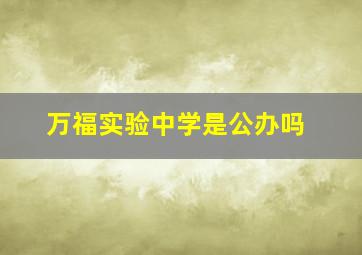 万福实验中学是公办吗