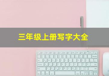 三年级上册写字大全