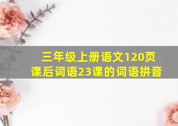 三年级上册语文120页课后词语23课的词语拼音