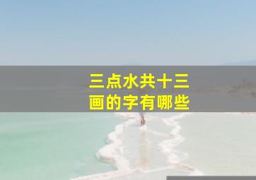 三点水共十三画的字有哪些