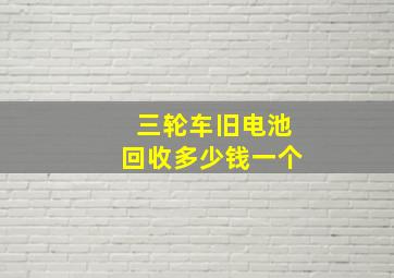 三轮车旧电池回收多少钱一个