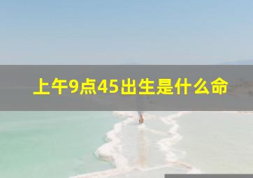 上午9点45出生是什么命