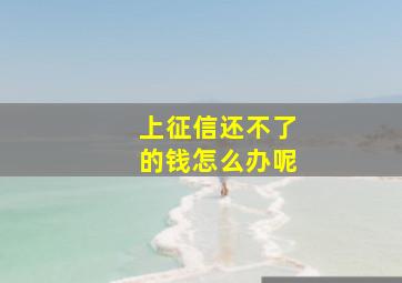 上征信还不了的钱怎么办呢