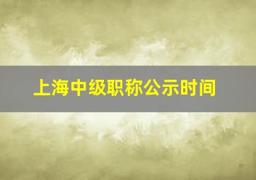 上海中级职称公示时间