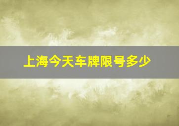 上海今天车牌限号多少