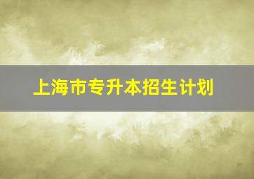 上海市专升本招生计划